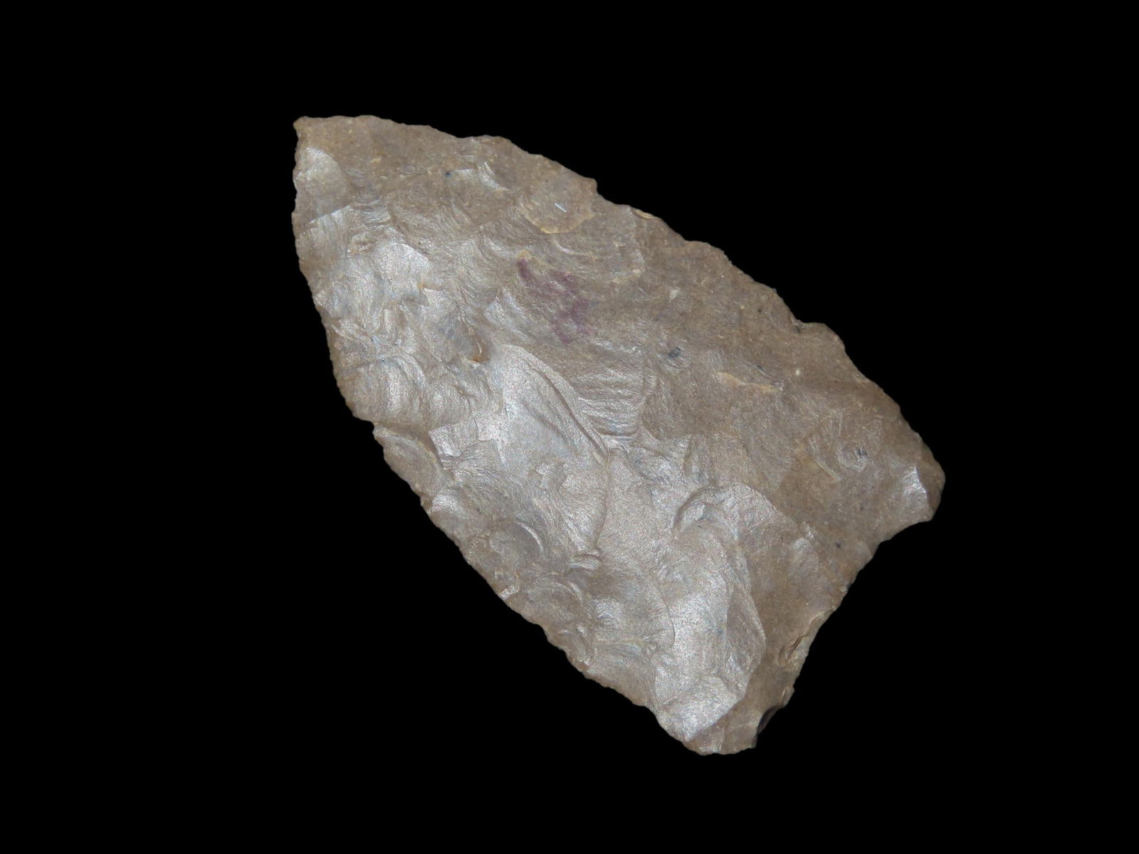 1 7/8" x 1 1/8" Paint Rock Valley, Dickey COA, found in Madison Co., Alabama, Ex Dennis Bushey (1 of 9)
