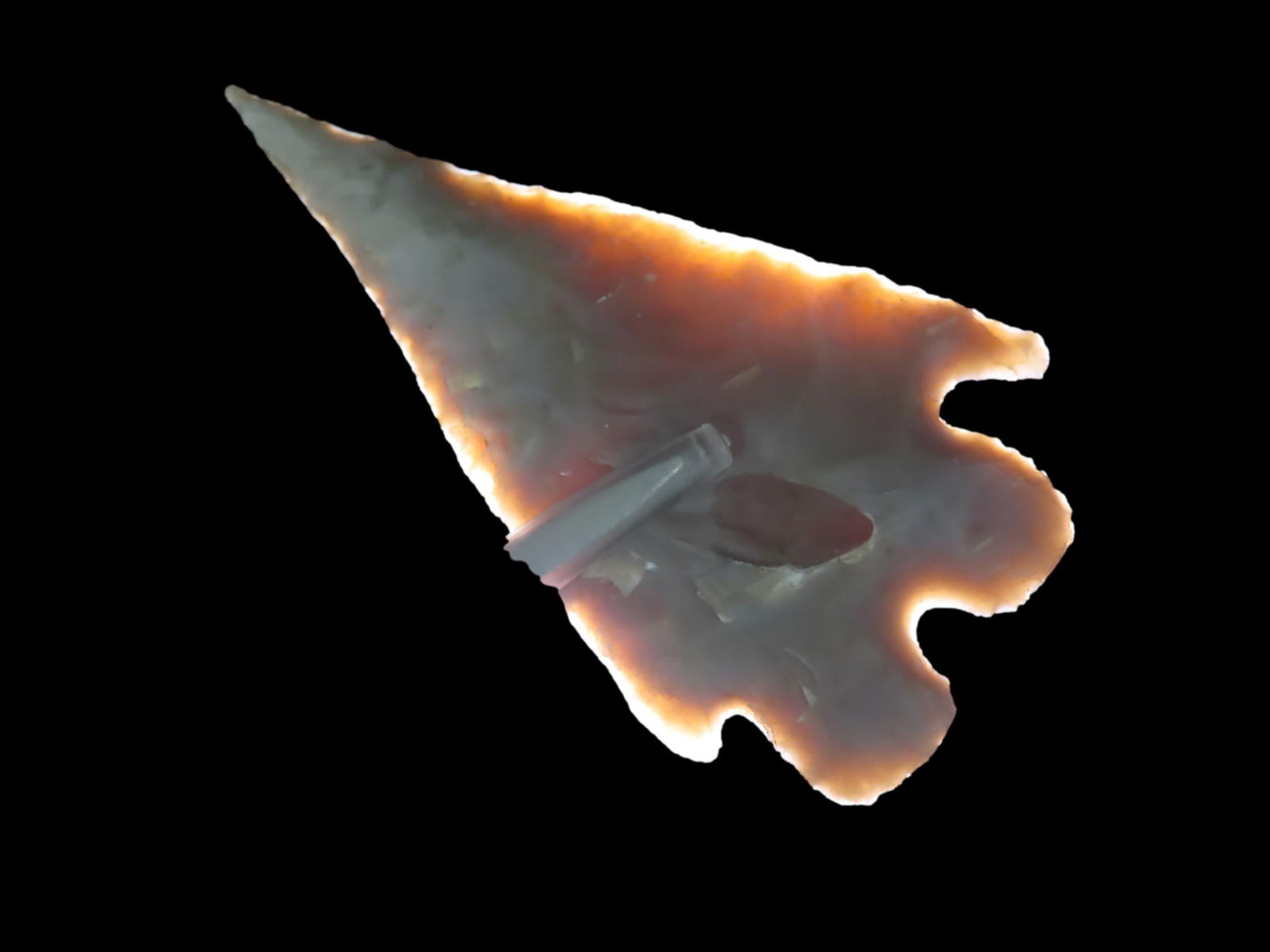 2 1/2" x 1 11/16"  Needle-tip Montell, Dickey COA, found in Central Texas (1 of 9)