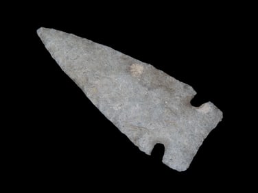 2 15/16" x 1 1/16" Looking Bill, Motley COA, found in Sweetwater Co., Wyoming