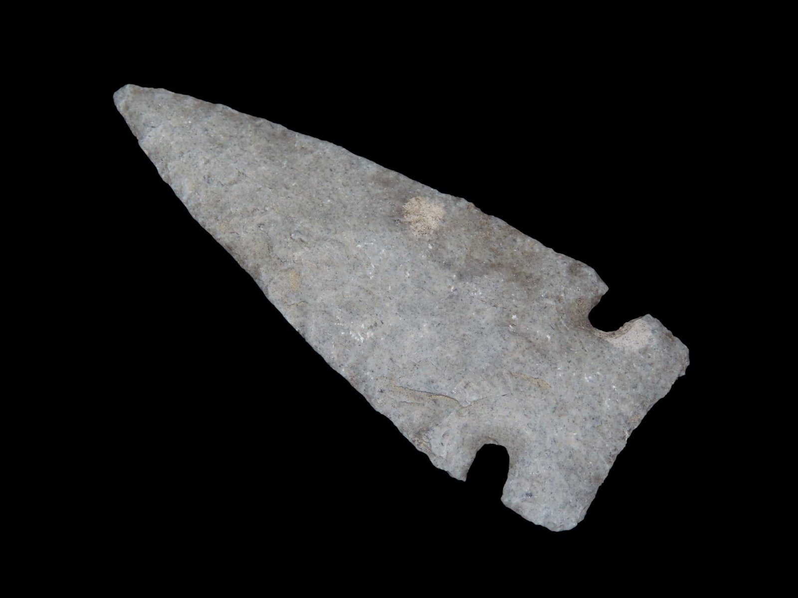2 15/16" x 1 1/16" Looking Bill, Motley COA, found in Sweetwater Co., Wyoming: 2 15/16" x 1 1/16" Looking Bill, Motley COA, found in Sweetwater Co., Wyoming