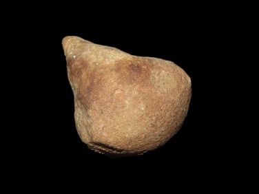 2 1/4"x1 3/4" Attleboro Mass. Marvin Farm, Beaver Site. EX: Peter Engstrom, Dr. Robbins.