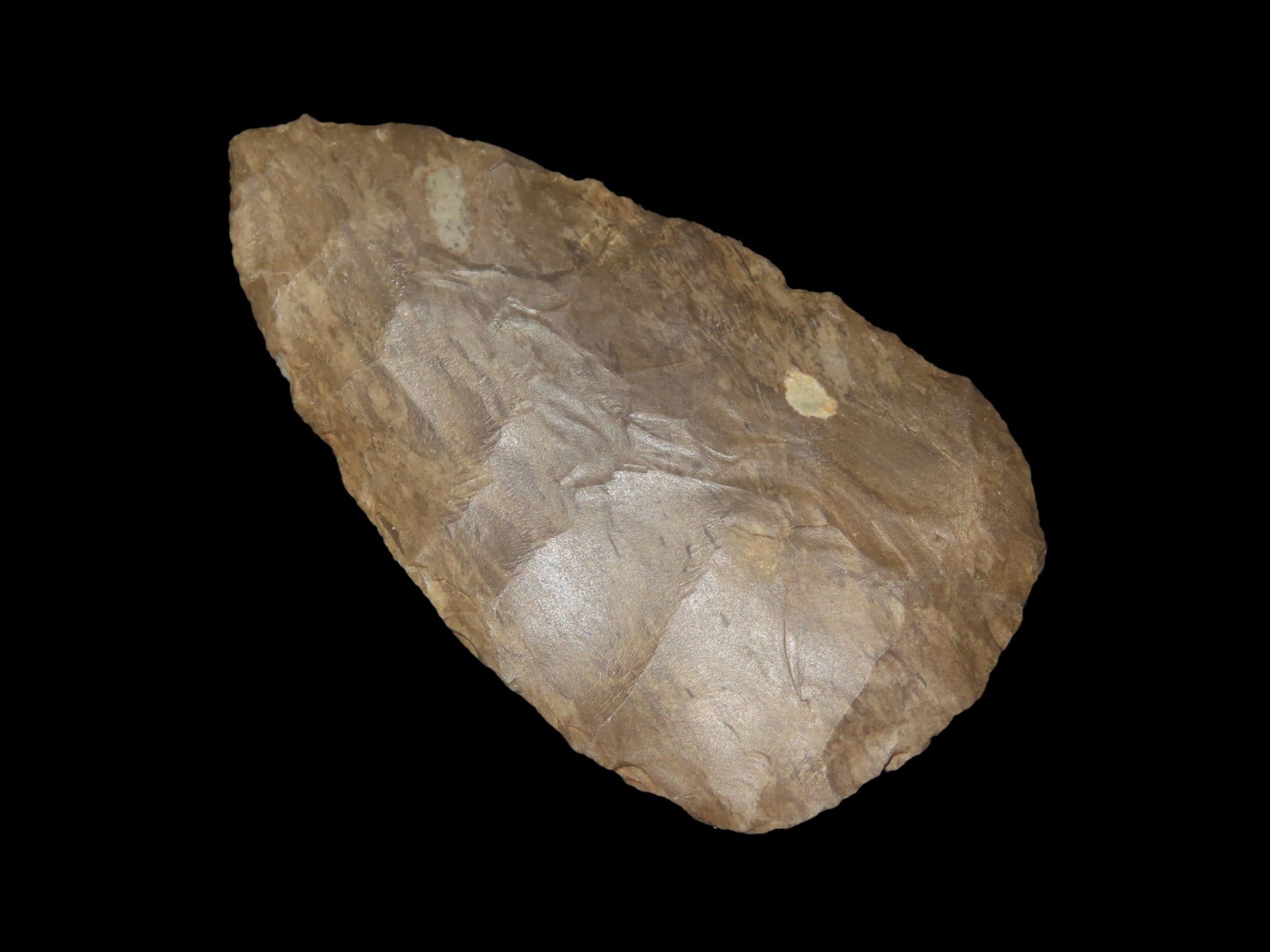 3 3/4" x 2 1/8" Archaic Knife/Preform, Dickey COA, found in Cumberland Co., Tennessee, Ex Bill (1 of 9)