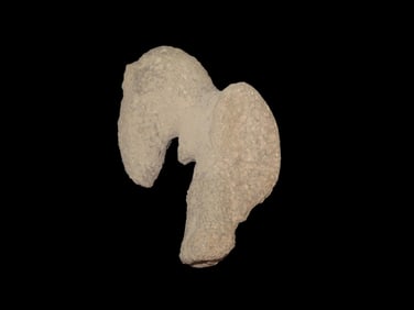 9 3/4" X 7" Volcanic Stone Bird Effigy, Motley COA, found in Western United States