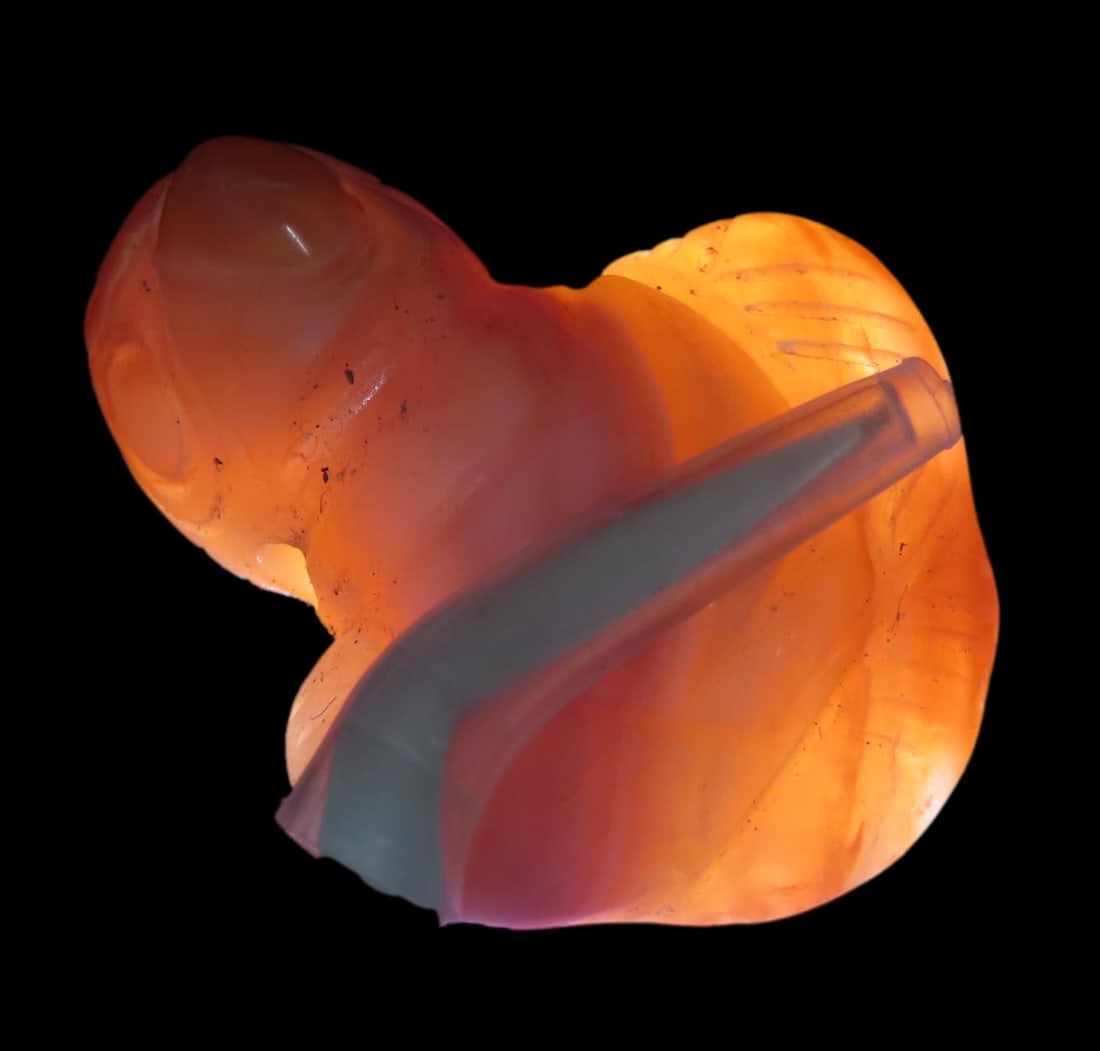 1 1/16" x 1 5/16" Pre-Columbian Carnelian Agate Parrot Effigy Pendant, Motley COA, found in (1 of 8)