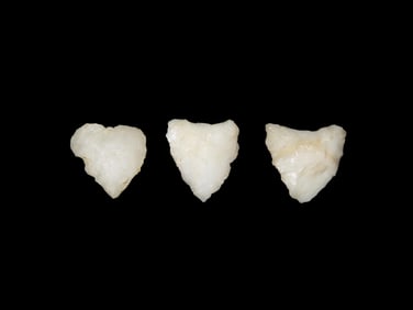 Alamance Paleo Point 10,000-8,000 PB Crystal Quartz Found In Massachusetts EX: Engstrom