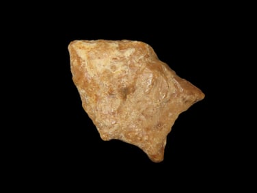 1 3/8" x 7/8" Pelican Fluted Transitional Paleo 10,000-6,000 B.P. Found In Louisiana Texas By Joshua