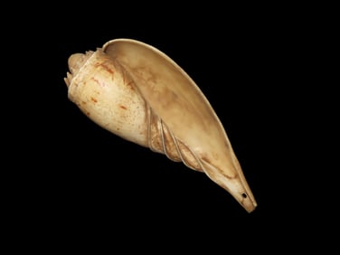 5' x 2' Designed Shell Pendant Arizona Likely Turn Of The Century 1880-1920's Southwest