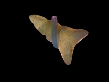 1 3/8" x 15/16" Pre-Columbian Aztec Lip Plug Labret Material Soft Translucent Stone From South