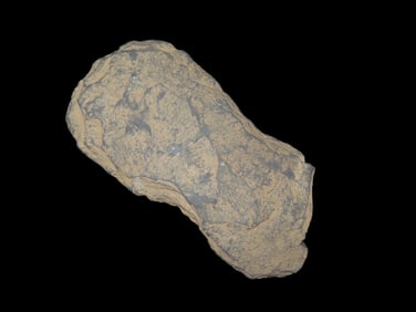 6 3/8" x 3 3/8" Paleolithic Stone Axe Eastern States EX: Payne Collection EX: Heike Collection