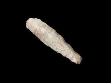 1 5/8" x 3/8" Midwest States EX: Heike Collection