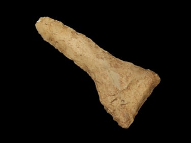 2'x 3/4" Drill Milky Agate Oklahoma EX: Heike Collection