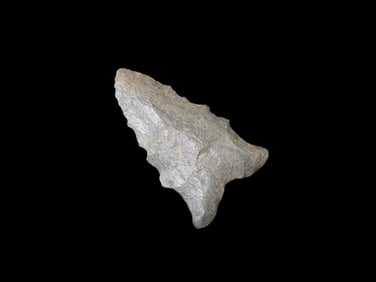 1 1/4" x 5/8" Dalton Point Arkansa EX: Heike Collection