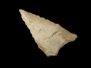 1 1/2" x 3/4" Dalton Point Midwest States EX: Heike Collection