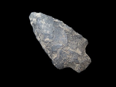 2 3/4" x 7/8" Gary Point Arkansa EX: Heike Collection