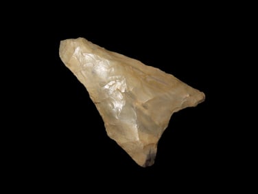 1 1/2" x 3/4" Dalton Point Midwest States EX: Heike Collection