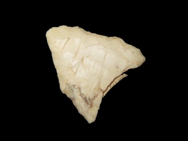 1 1/2" x 1 5/16" Folsom Pt, found in Central Illinois, Ex Payne, Ex Heike Collections