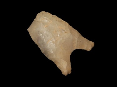 1 5/8" x 1" Quad, found in the Midwest, Ex Heike Collection