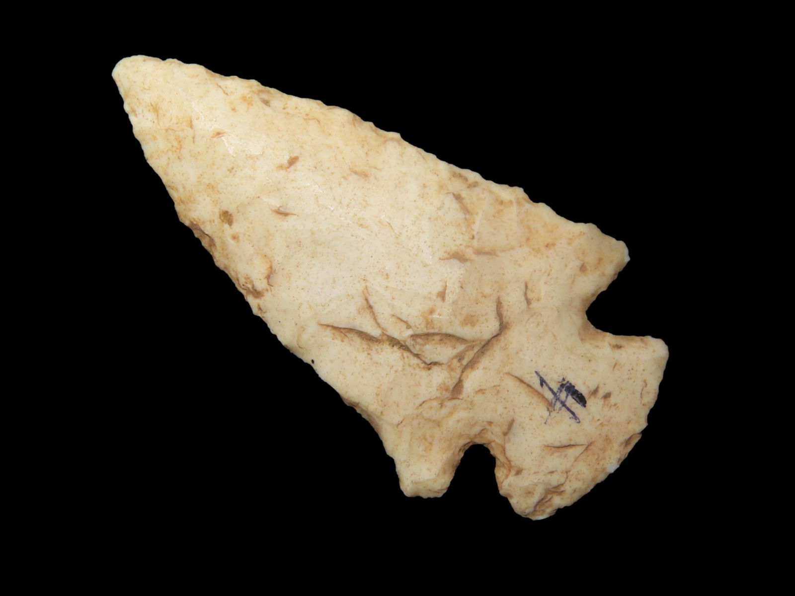 2 1/8" x 1 1/8" Dovetail, found in Illinois, Ex Heike Collection (1 of 4)