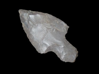 2 1/4" x 1 1/4" Harrison Turkey Tail, found in Alabama, Ex Heike Collection