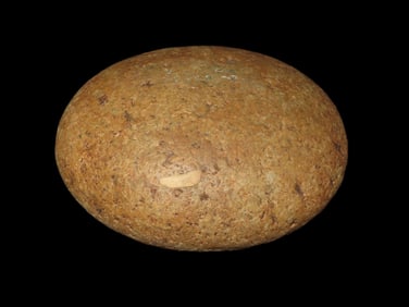 6 1/2" x 2 1/2" Biscuit Discoidal, found at The Beaver Site on the Marvin Farm in Attleboro,