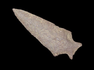 2 3/8" x 15/16" Hlifax Pt., found at The Beaver Site on the Marvin Farm in Attleboro, Massachusetts.