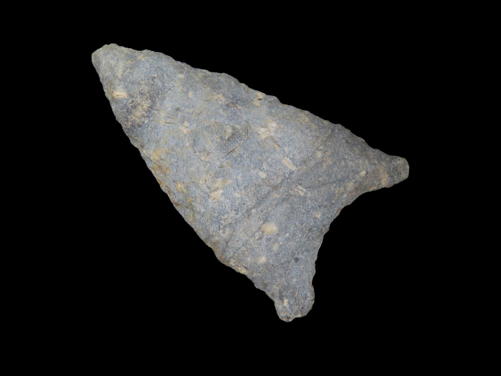 1 3/4" x 1" Hardaway, Late Paleo 9500-8000 BP, found at The Beaver Site on the Marvin Farm in (1 of 4)