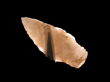 1 5/8" x 5/8" Quartzite Holmes Pt, found at The Beaver Site on the Marvin Farm in Attleboro,