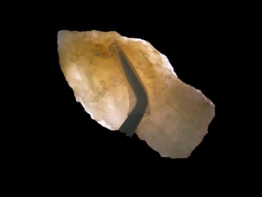 2 3/8" x 1 1/4" Quartzite Holmes Pt, found at The Beaver Site on the Marvin Farm in Attleboro,