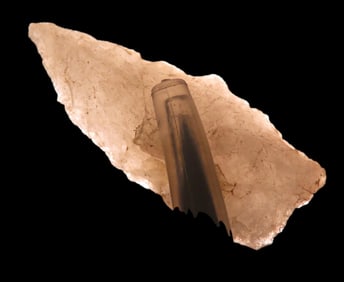 1 5/8" x 5/16" Quartzite Holmes Pt, found at The Beaver Site on the Marvin Farm in Attleboro,