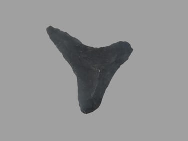 1 1/4" x 1 1/16" T-Drill, found at The Beaver Site on the Marvin Farm in Attleboro, Massachusetts.