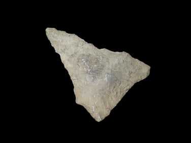1 3/4" x 1 1/4" Hardaway, Late Paleo 9500-8000 BP, Dark Rhyolite, found at The Beaver Site on the