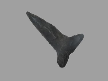 1 5/8" x 7/8" T-Drill, found at The Beaver Site on the Marvin Farm in Attleboro, Massachusetts. Ex