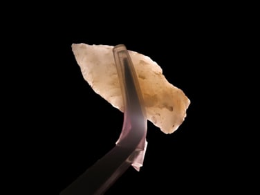 1 1/4" x 5/8" Quartzite Holmes Pt, found at The Beaver Site on the Marvin Farm in Attleboro,