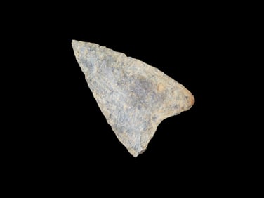 1 1/4" x 7/8" Carraway Pt., found at The Beaver Site on the Marvin Farm in Attleboro, Massachusetts.