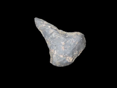 1 1/8" x 3/4" Paddle Drill, found at The Beaver Site on the Marvin Farm in Attleboro, Massachusetts.