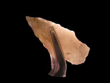 1 1/2" x 5/8" Quartzite Holmes Pt, found at The Beaver Site on the Marvin Farm in Attleboro,