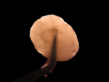 1 1/4" x 1 1/8" Paleo Sun Effigy Disc, 12,000-10,000 BP, Crystal Quartz, found at The Beaver Site on