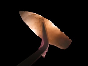 1 7/8" x 1/2" Quartzite Holmes Pt, found at The Beaver Site on the Marvin Farm in Attleboro,