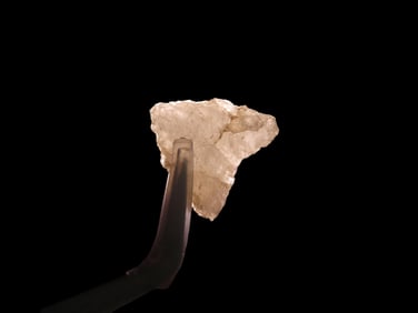 13/16" x  3/4" Late Paleo Crystal Quartz Alamance/Clovis 12,000-10,000 BP, found 1920-1930 at The