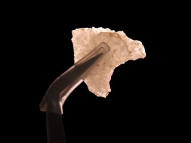 13/16" x 11/16" Late Paleo Crystal Quartz Alamance/Clovis 12,000-10,000 BP, found 1920-1930 at The