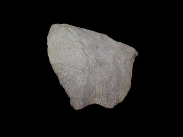 2" x 1 5/8" Morrow Mountain Straight Base, found at The Beaver Site on the Marvin Farm in Attleboro,