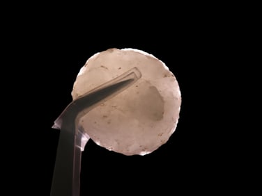 1 1/8" x 1 1/4" x 3/8" Quartzite Sun Disk, found at The Beaver Site on the Marvin Farm in Attleboro,