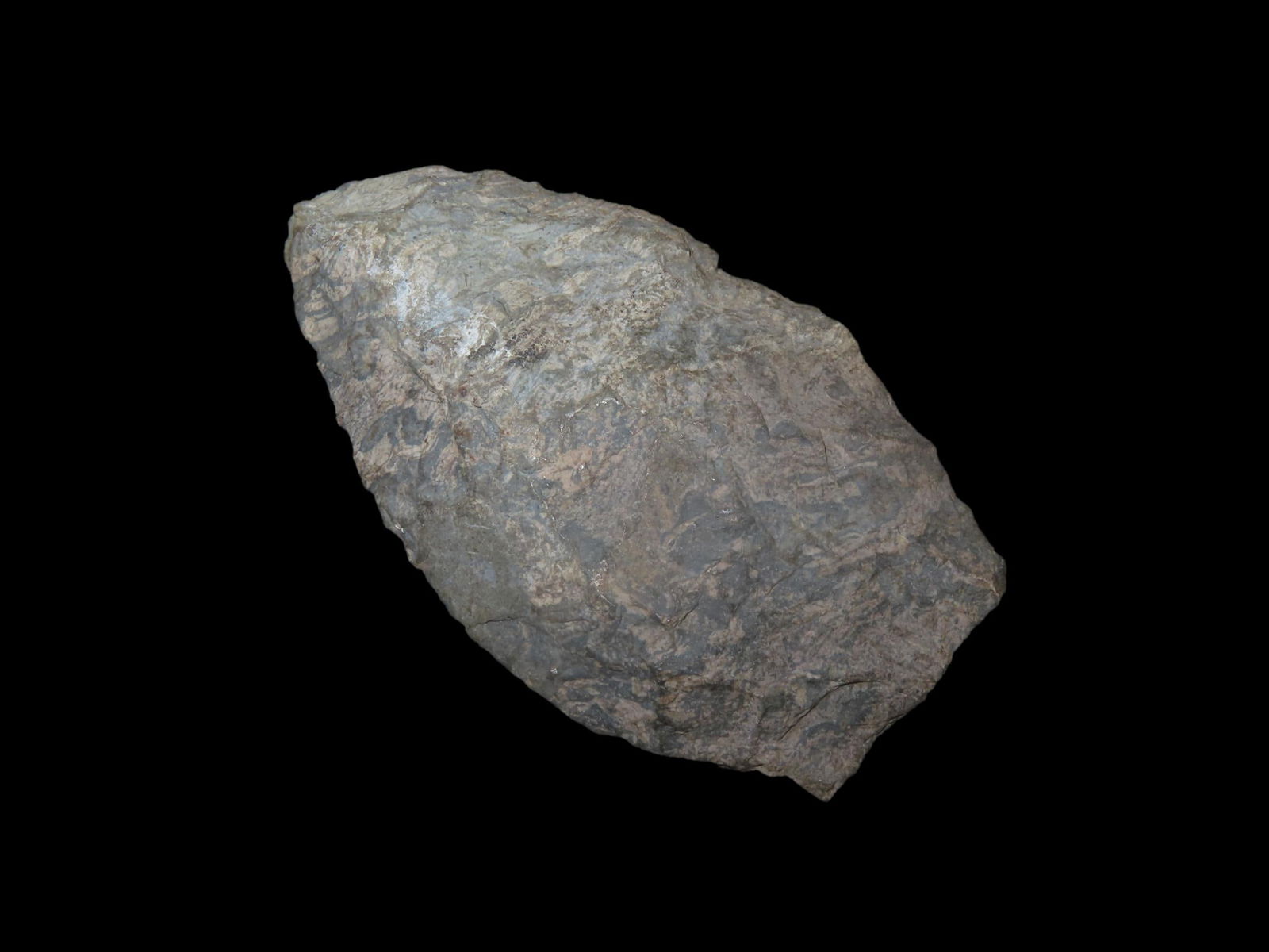 3 1/16" x 1 7/8" Grey Rhyolite Mansion Pt, found at The Beaver Site on the Marvin Farm in Attleboro, (1 of 4)