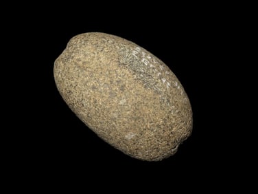 2 3/4" x 1 9/16" x 1 1/2" Grooved War Club Head, found at The Beaver Site on the Marvin Farm in