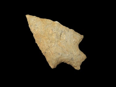 1 5/8" x 1" Piscataway Pt, Rhyolite, found at The Beaver Site on the Marvin Farm in Attleboro,