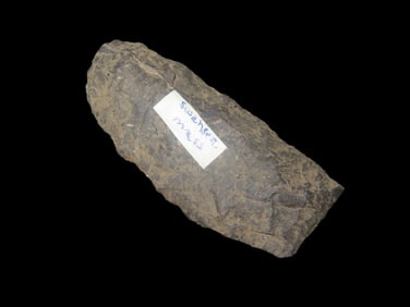 2 7/8" x 1 1/4" Mansion Pt., Purple Rhyolite, found at The Beaver Site on the Marvin Farm in