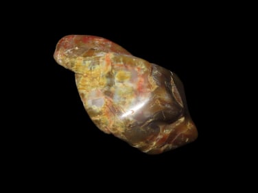 2 1/4" x 1 1/4" x 1" Polished Carnelian Agate Petrified Wood Specimen, 52g.