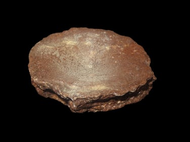 3 1/2" x 3 1/4" x 1" Fossil Ichthyosaur Vertebrae, Early Jurassic, 198 million yrs old, Found in