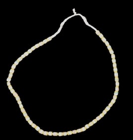 Amazing Group Of Alaska Mammoth Fossilized Tusk Polished