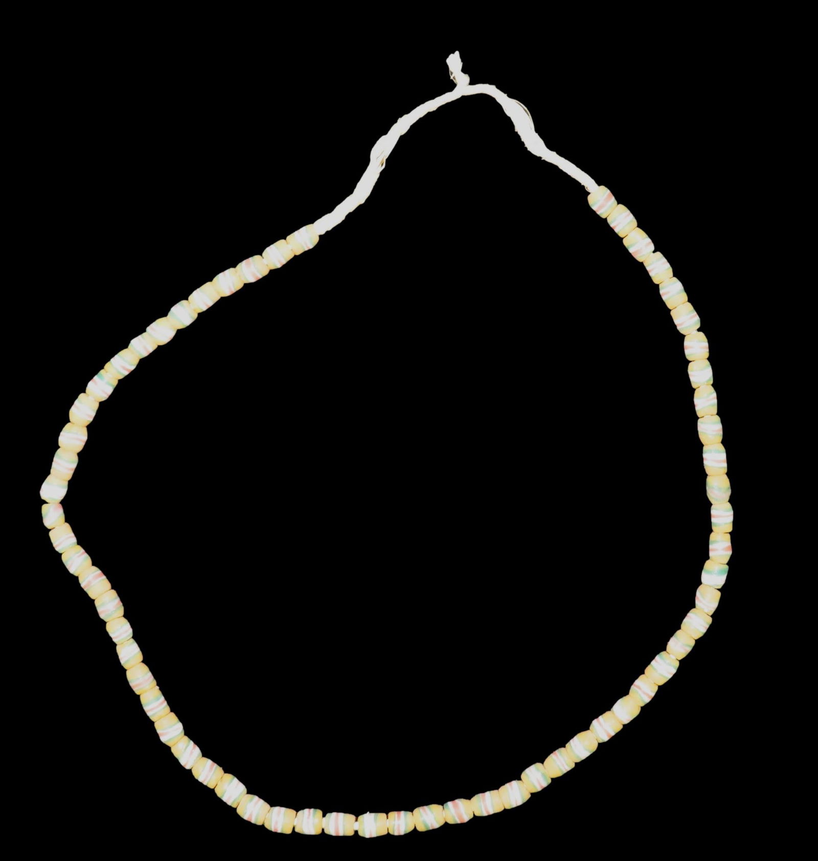 Amazing Group Of Alaska Mammoth Fossilized Tusk Polished: Amazing Group Of Alaska Mammoth Fossilized Tusk Polished